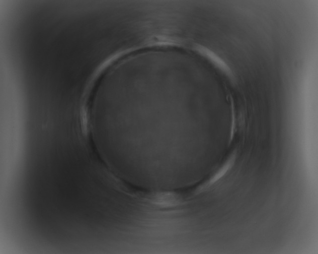 X0000100921310200807081142