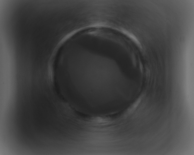 X0000100921311200807081142