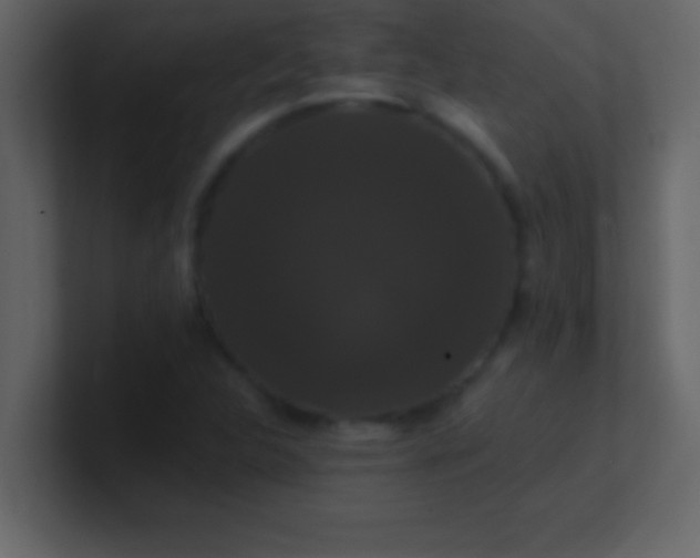 X0000100921312200807081142