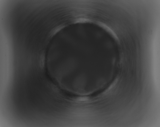 X0000100921313200807081142