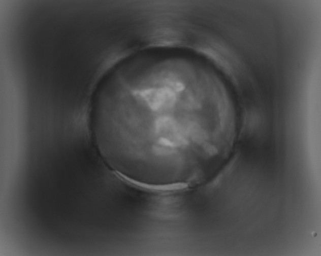 X0000100921314200807081142