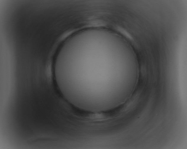 X0000100921315200807081142