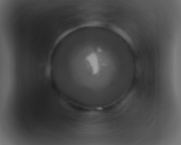 X0000100921316200807081142