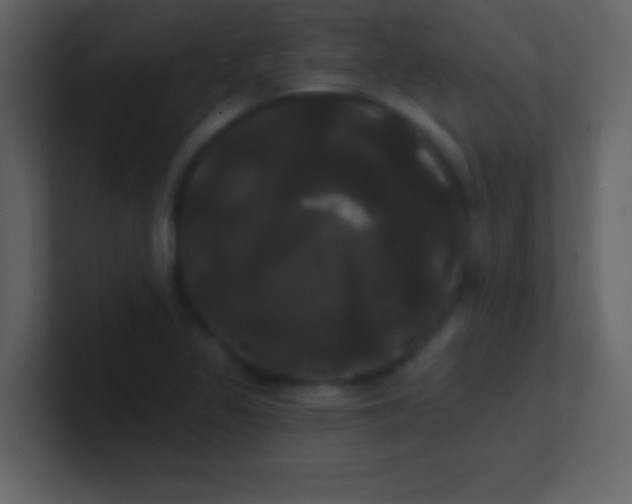 X0000100921317200807081142