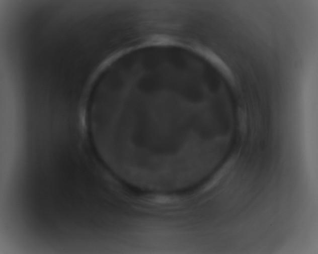 X0000100921318200807081142