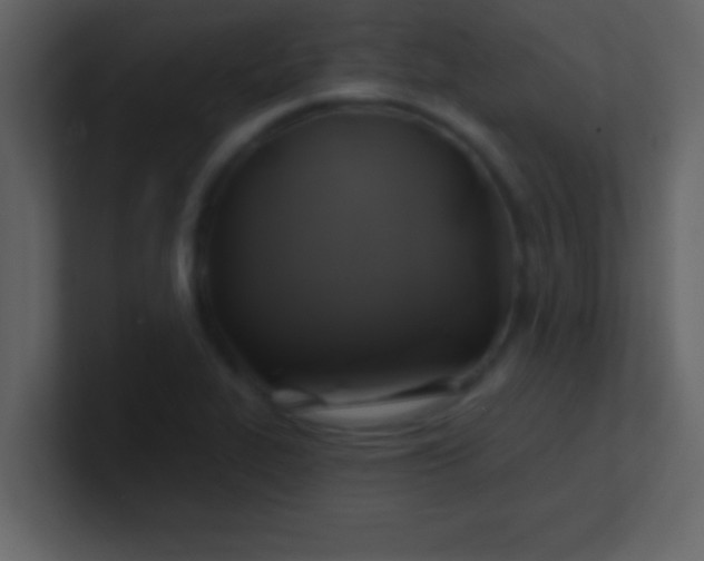 X0000100921319200807081142