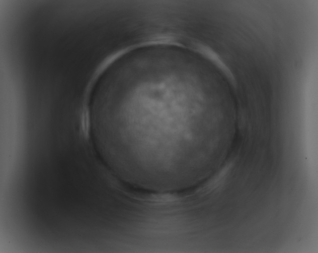 X0000100921320200807081142