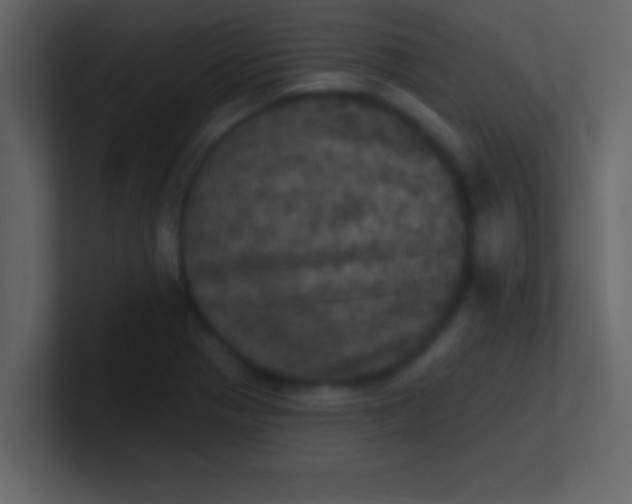 X0000100921321200807081142