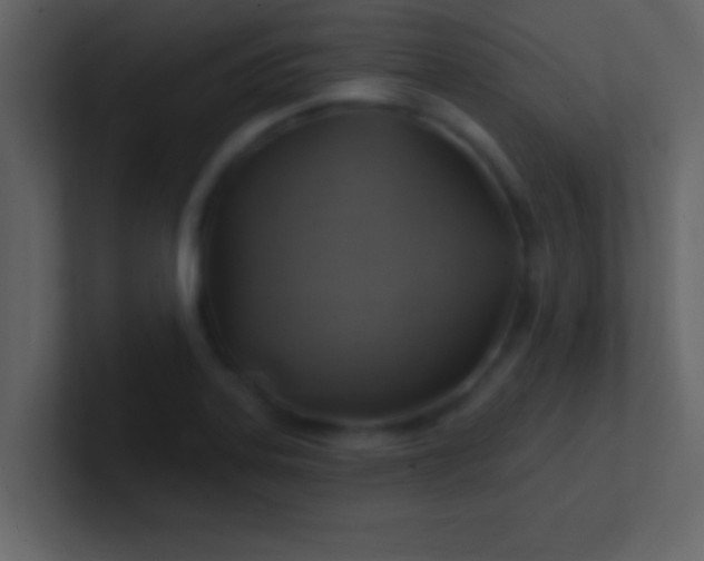 X0000100921323200807081142