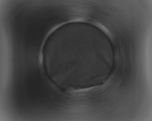 X0000100921324200807081142