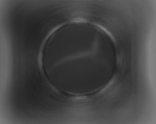 X0000100921325200807081142