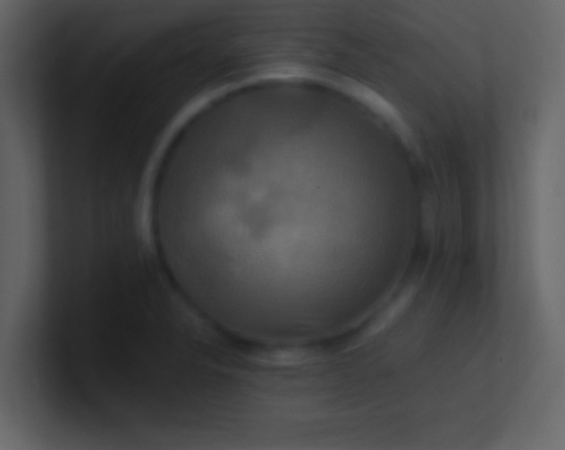 X0000100921326200807081142