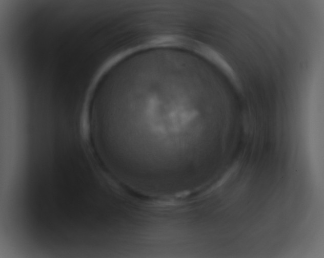 X0000100921328200807081142