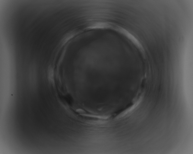 X0000100921329200807081142