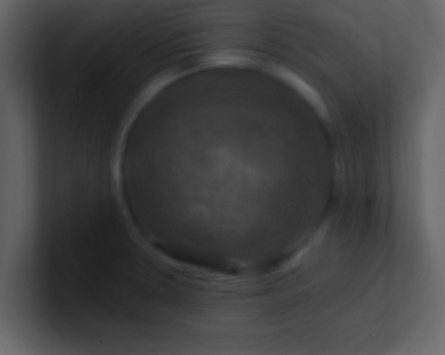 X0000100921330200807081142