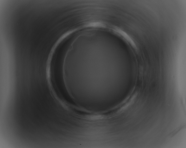 X0000100921331200807081142