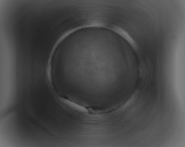 X0000100921332200807081142