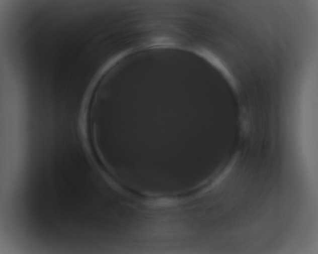 X0000100921333200807081142