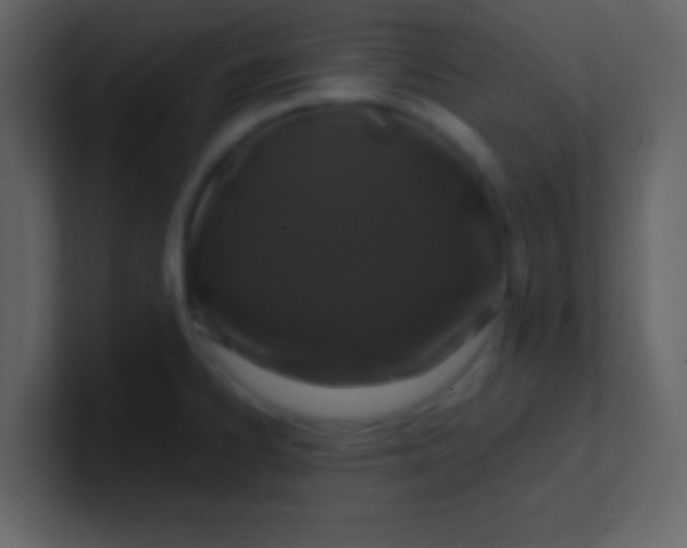 X0000100921334200807081142