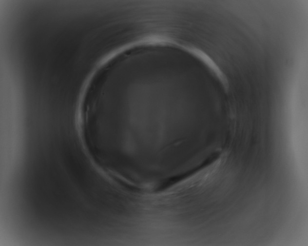 X0000100921335200807081142