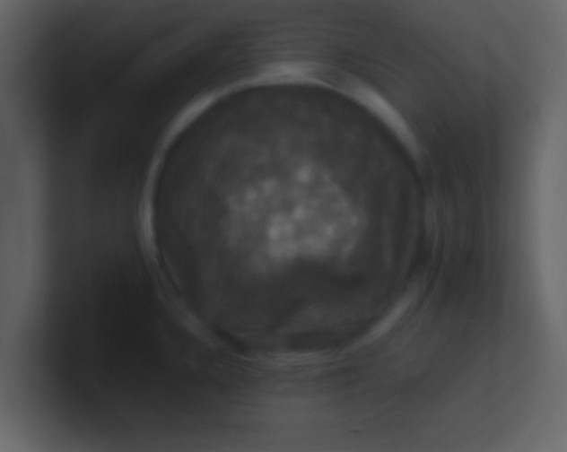 X0000100921336200807081142