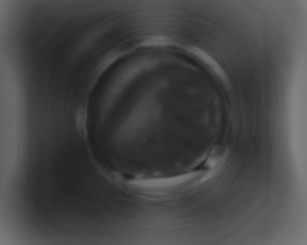 X0000100921337200807081142