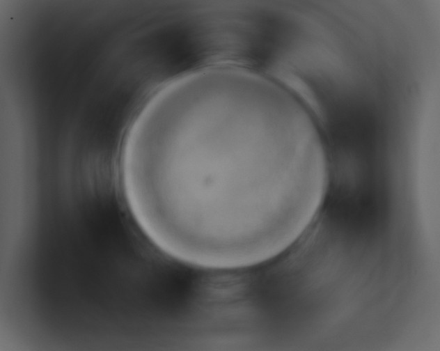 X0000100921338200807081143