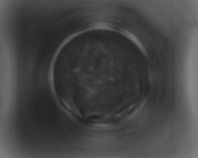 X0000100921339200807081143