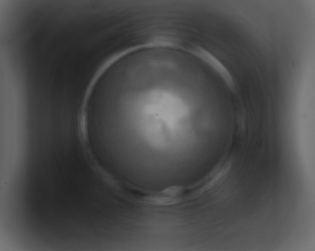 X0000100921340200807081143