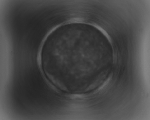 X0000100921341200807081143