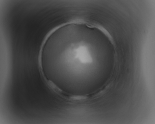 X0000100921344200807081143