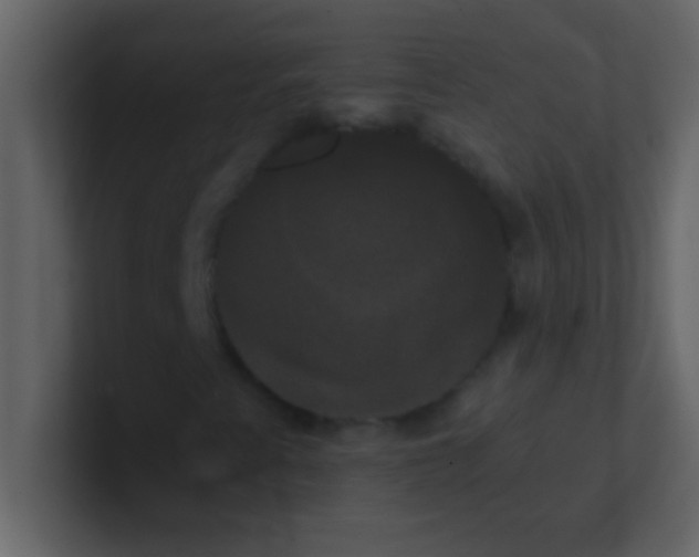 X0000100921345200807081142