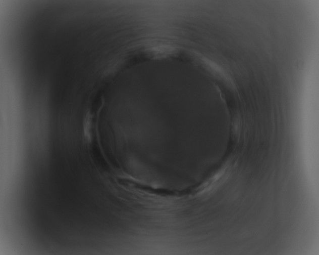 X0000100921346200807081142