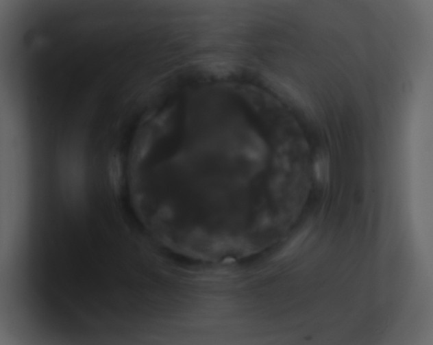 X0000100921347200807081142