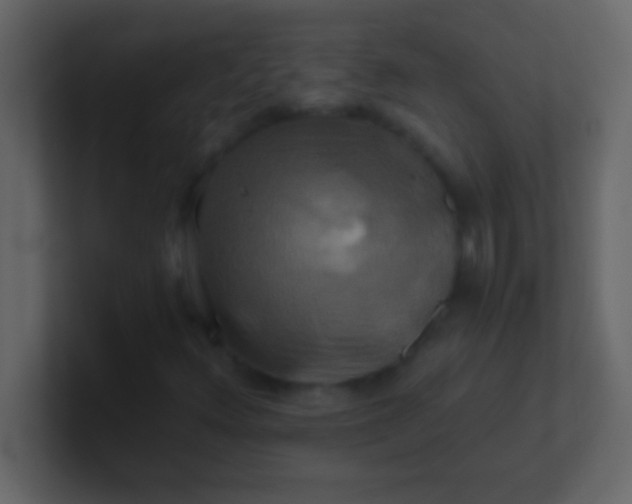 X0000100921348200807081142