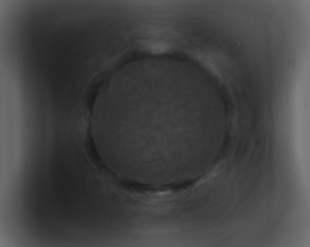 X0000100921349200807081142