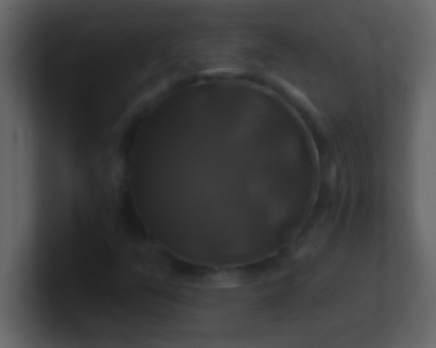 X0000100921351200807081142