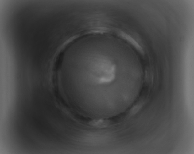 X0000100921352200807081142