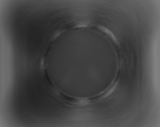 X0000100921353200807081142