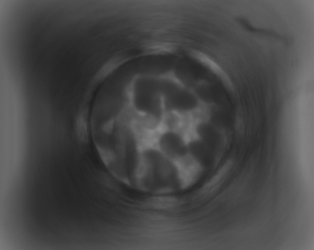 X0000100921354200807081142