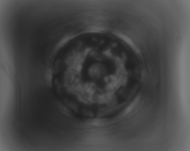 X0000100921355200807081142