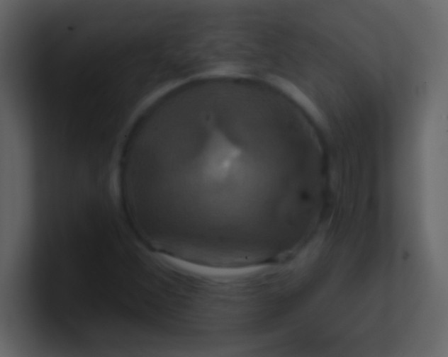 X0000100921356200807081142