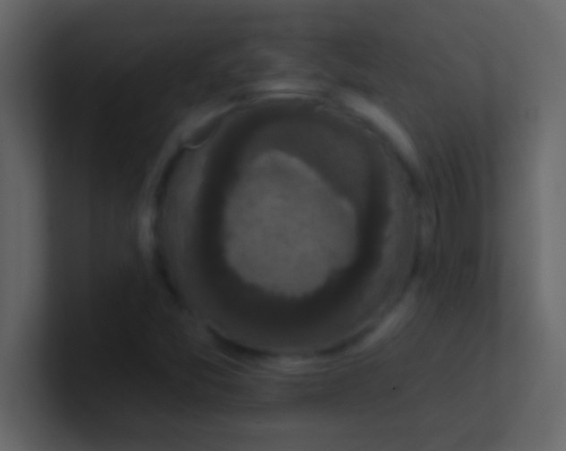 X0000100921357200807081142