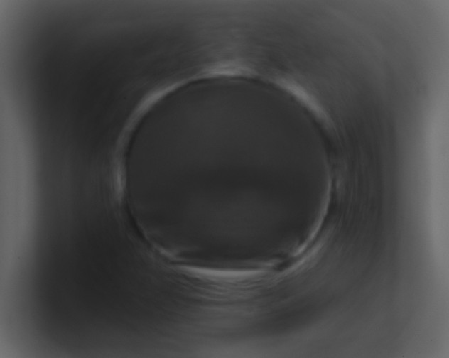 X0000100921358200807081142