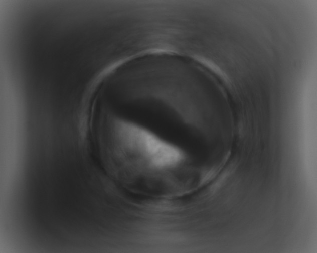 X0000100921359200807081142