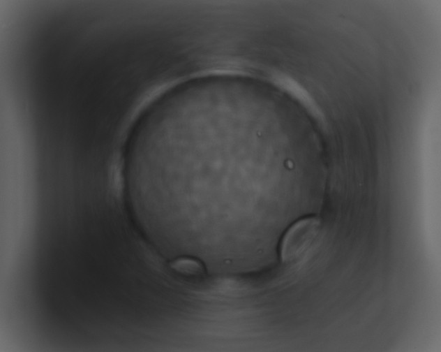 X0000100921360200807081142