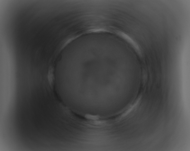 X0000100921361200807081142