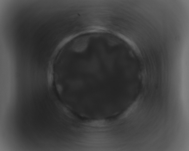 X0000100921363200807081142