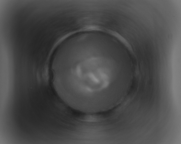 X0000100921364200807081141