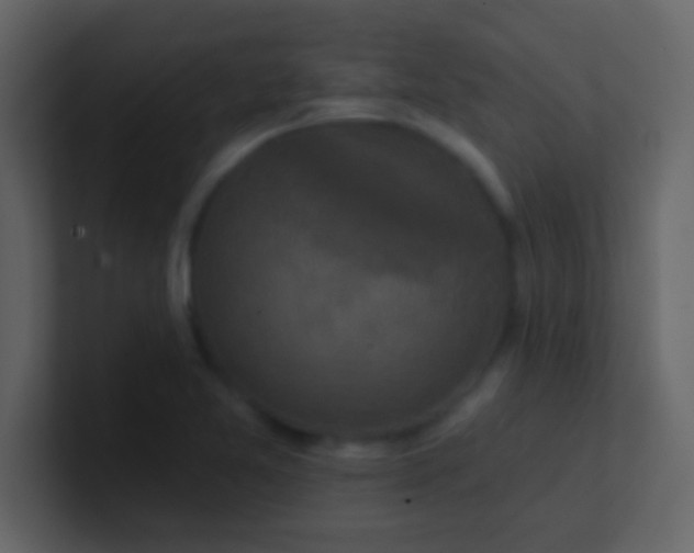 X0000100921365200807081141